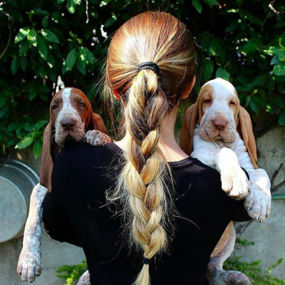 cani in braccio a una ragazza