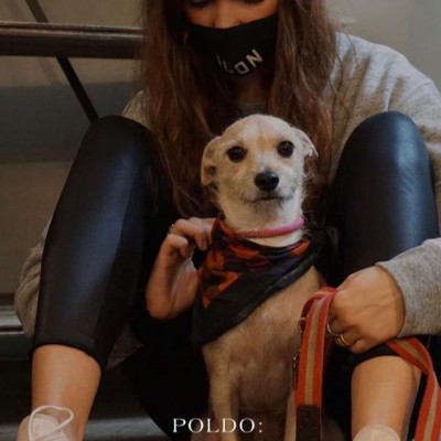 collaborazione Poldo Dog Couture e Argento Vivo