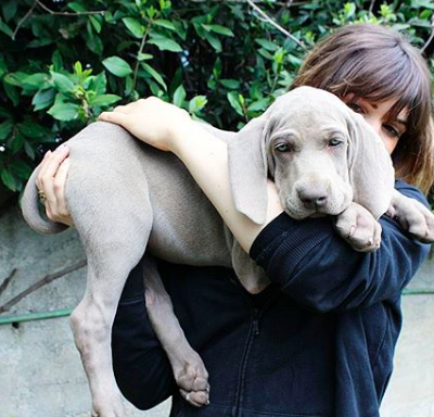 Maria di Argento Vivo tiene in braccio un cane