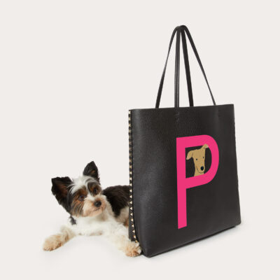 cane vicino a una borsa